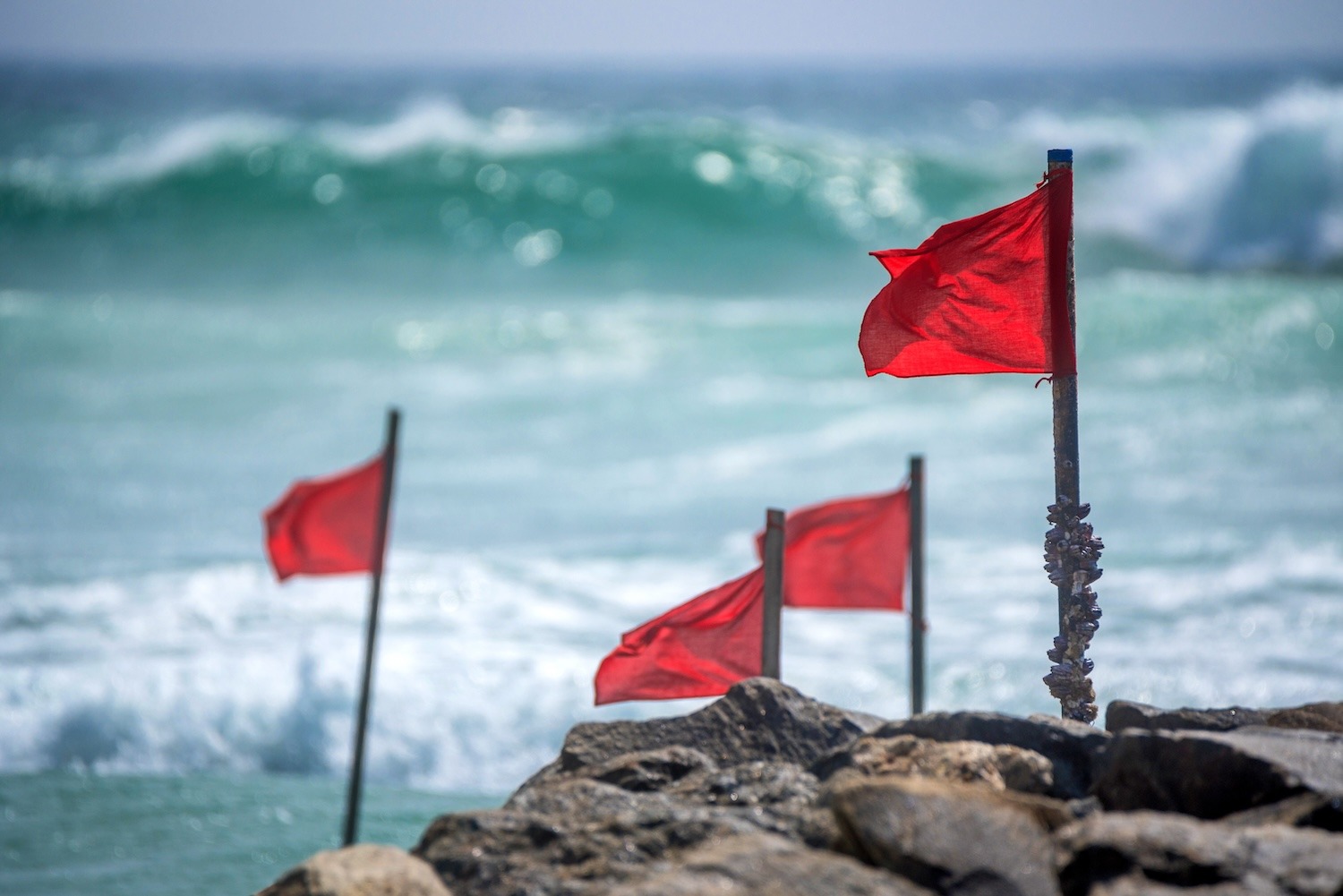 Multiple red warning flags positioned along a rocky shoreline.