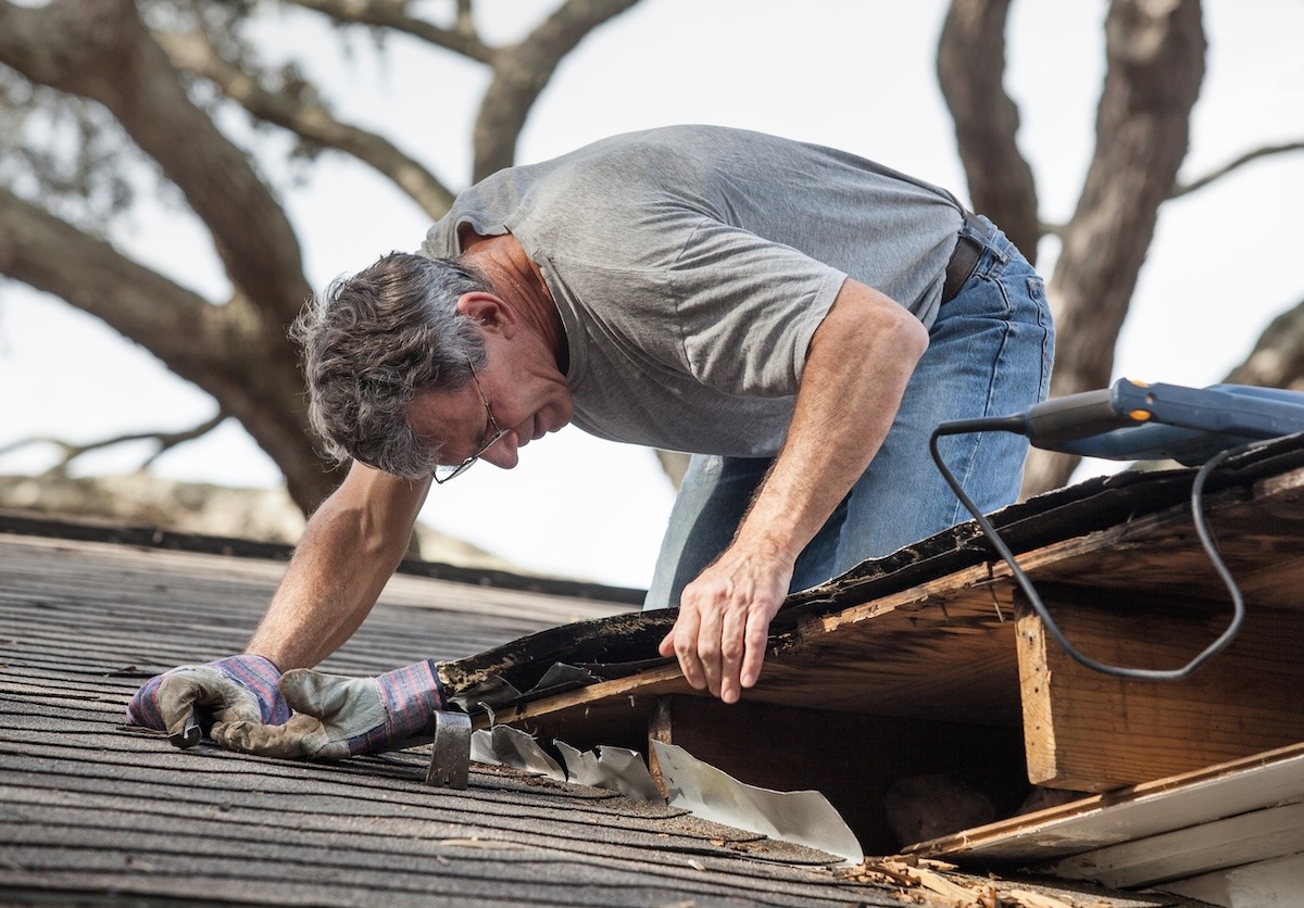 A worker on a roof inspecting a damaged section with visible rot and an open area.