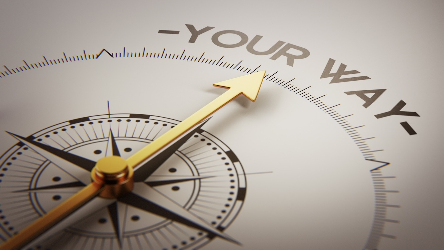 Compass displaying the words “Your Way.”